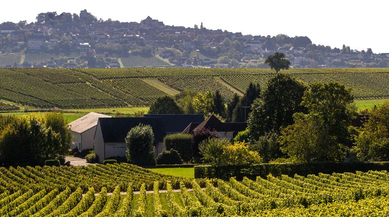 Domaine de La Garenne Sancerre Blanc AOC - Weißwein, der einfach alles kann