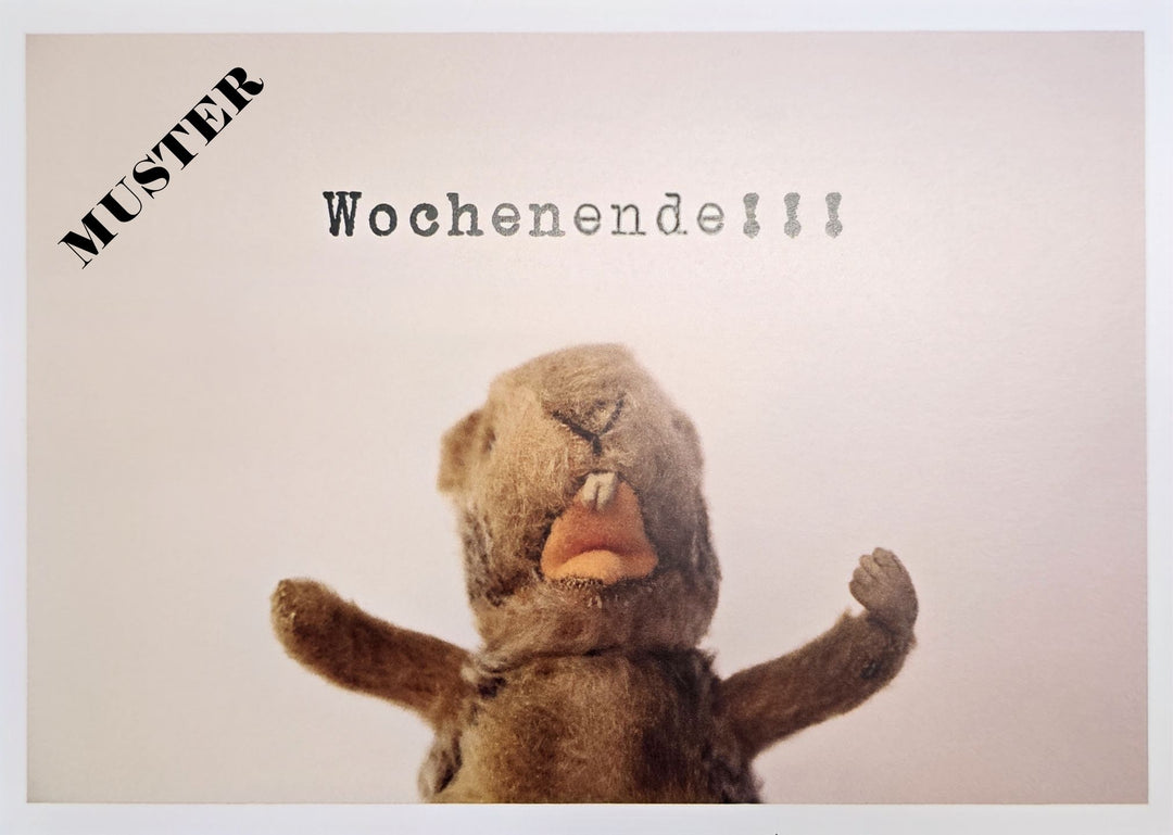 Möppi Baumann verblüffende Wahrheiten Postkarte
