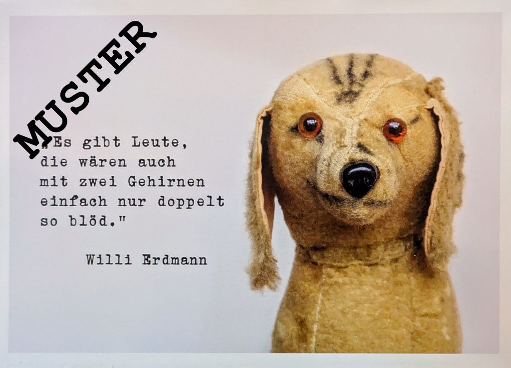 Möppi Baumann verblüffende Wahrheiten Postkarte - SoulTool