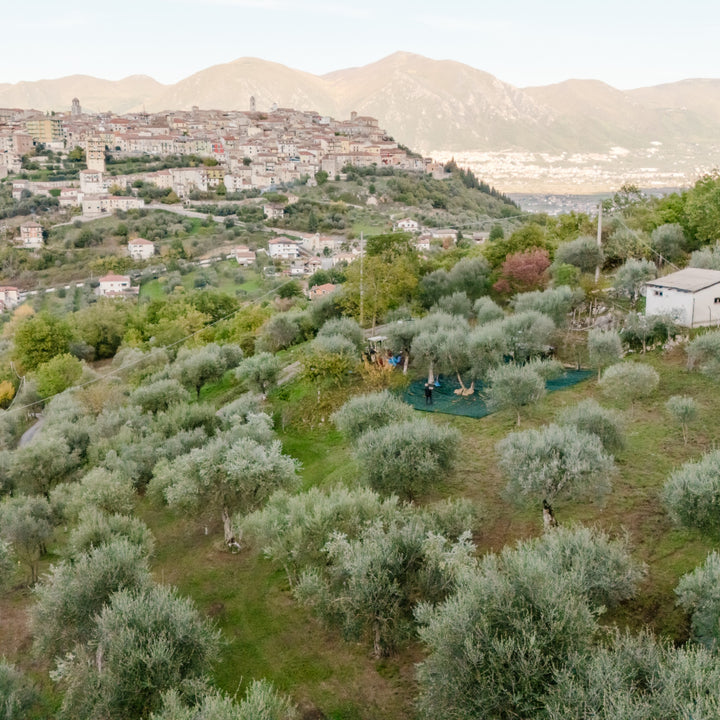 Olio Extravergine di Oliva - Natives Olivenöl extra aus Italien