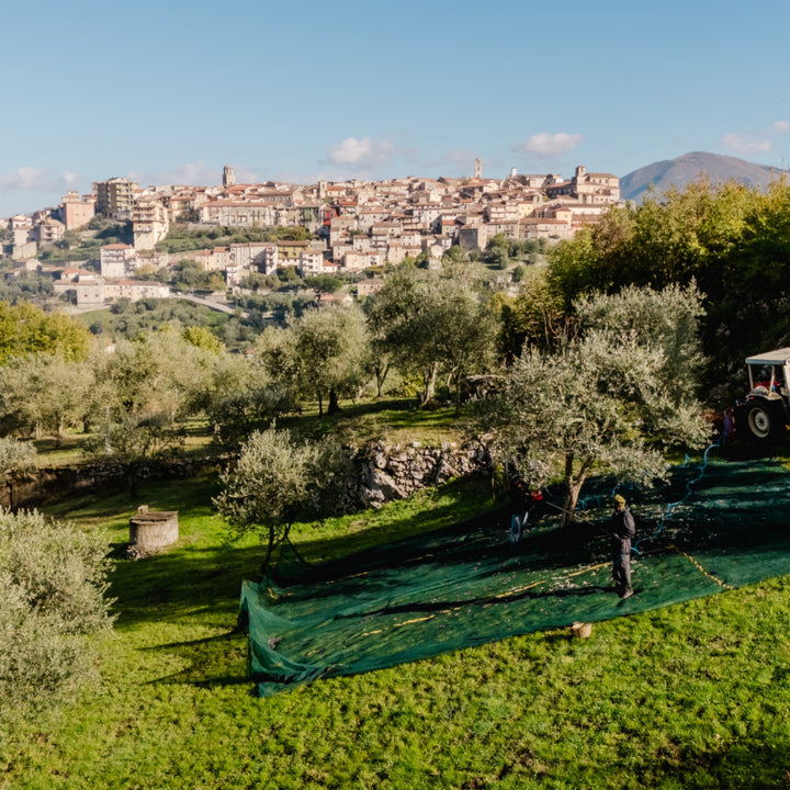 Olio Extravergine di Oliva - Natives Olivenöl extra aus Italien