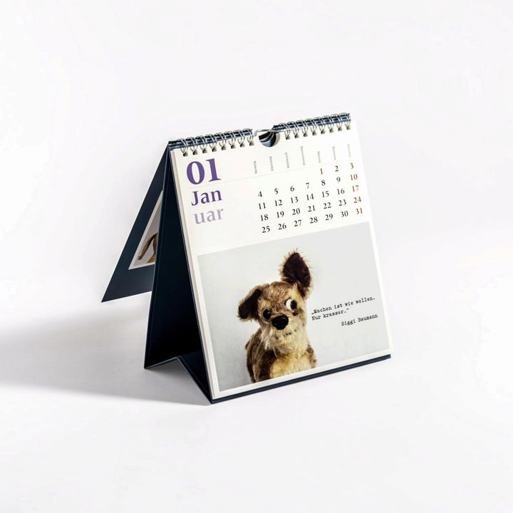 Möppi Baumann Postkarten-Kalender 2027 - Verblüffende Wahrheiten