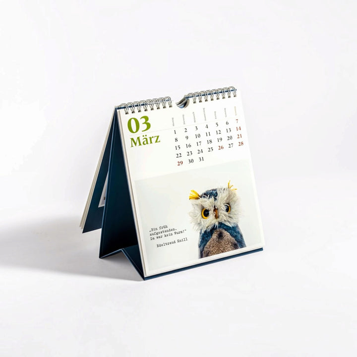 Möppi Baumann Postkarten-Kalender 2027 - Verblüffende Wahrheiten