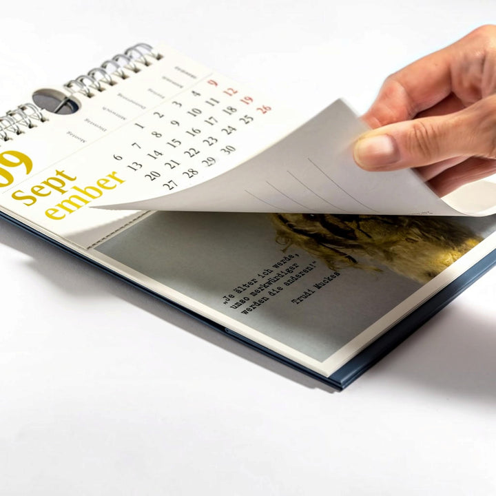 Möppi Baumann Postkarten-Kalender 2027 - Verblüffende Wahrheiten
