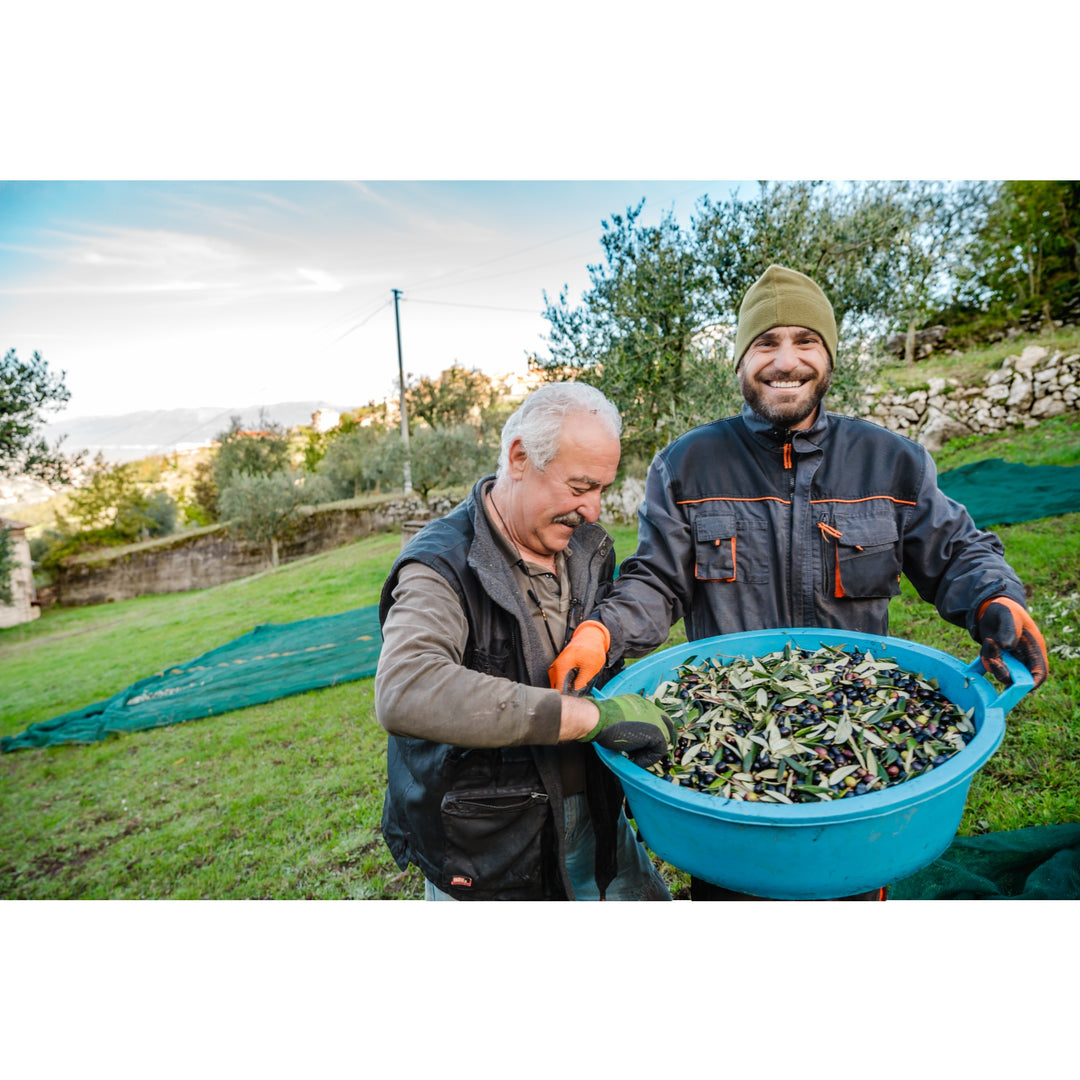 Olio Extravergine di Oliva - Natives Olivenöl extra aus Italien