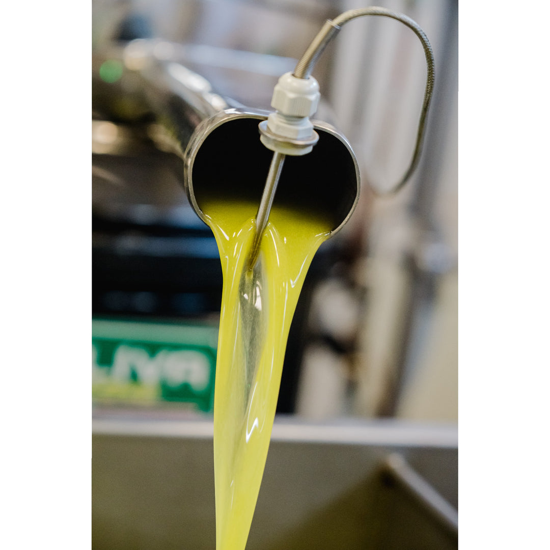 Olio Extravergine di Oliva - Natives Olivenöl extra aus Italien