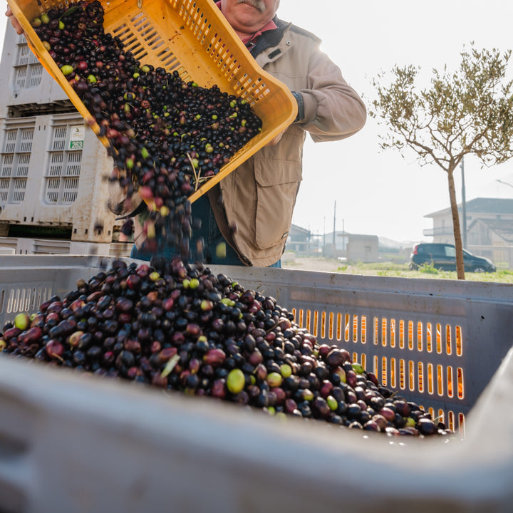 Olio Extravergine di Oliva - Natives Olivenöl extra aus Italien